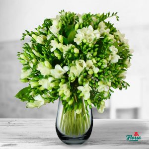 flori-buchet-de-55-frezii-albe-32985.jpeg