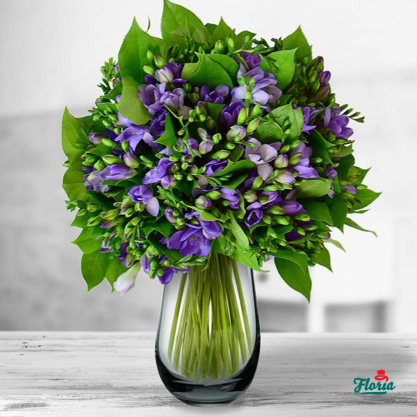 flori-buchet-de-55-frezii-mov-32986.jpeg