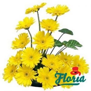 flori-buchet-de-55-gerbera-galbene-233.jpeg