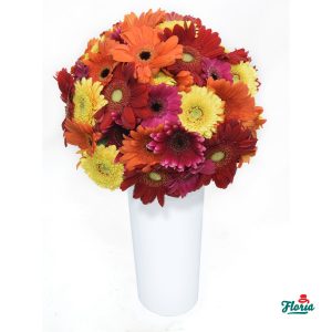 flori-buchet-de-55-gerbera-multicolore-28591.jpeg