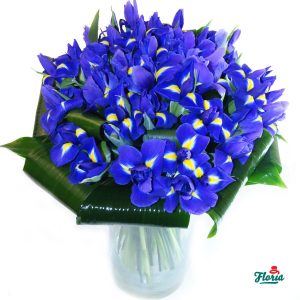 flori-buchet-de-55-irisi-mov-2574.jpeg