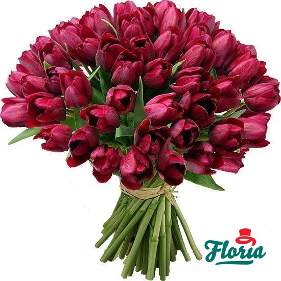 flori-buchet-de-55-lalele-rosii-2457.jpeg