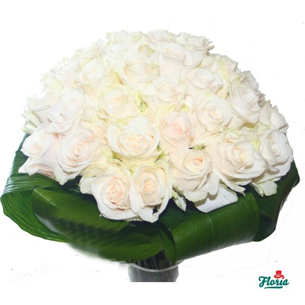 flori-buchet-de-55-trandafiri-albi-916.jpeg