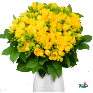 flori-buchet-de-61-frezii-galbene-31308.png