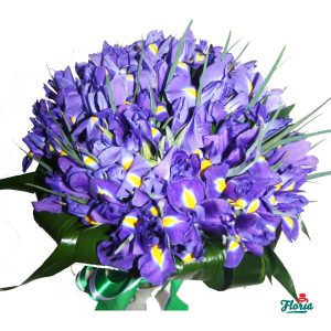 flori-buchet-de-65-irisi-mov-554.jpeg