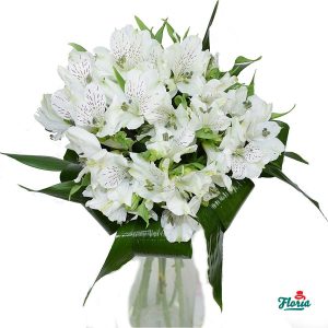 flori-buchet-de-7-alstroemeria-albe-26904.jpeg