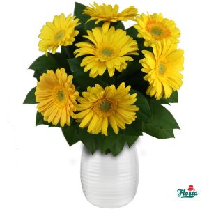 flori-buchet-de-7-gerbera-galbene-30611.jpeg