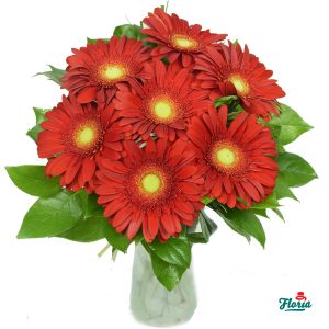 flori-buchet-de-7-gerbera-rosii-2642.jpeg