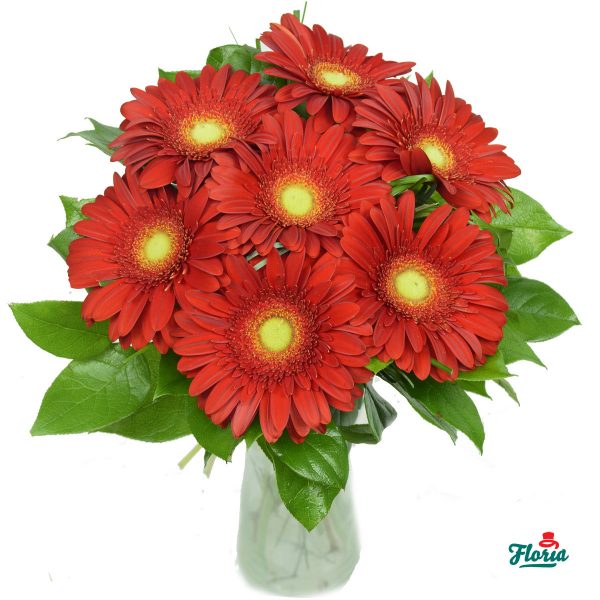 flori-buchet-de-7-gerbera-rosii-2642.jpeg