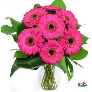 flori-buchet-de-7-gerbera-roz-2647.jpeg