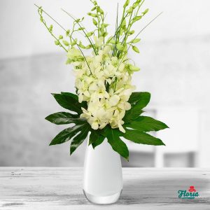flori-buchet-de-7-orhidee-dendrobium-albe-32977.jpeg