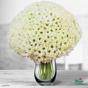 flori-buchet-de-75-crizanteme-albe-32681.jpeg