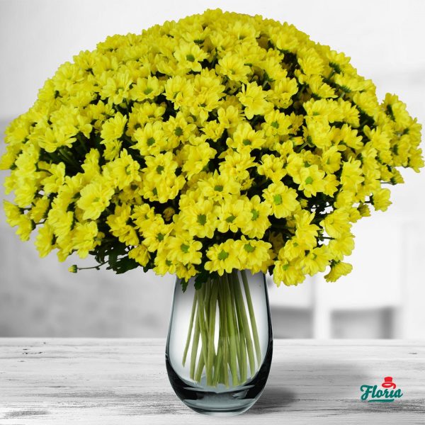flori-buchet-de-75-crizanteme-galbene-32638.jpeg