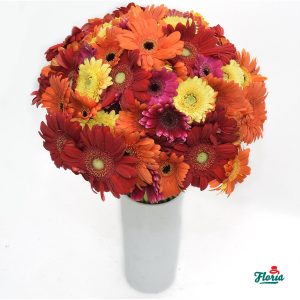 flori-buchet-de-75-gerbera-multicolore-28538.jpeg