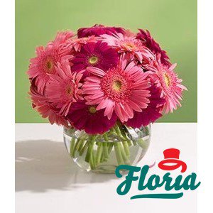 flori-buchet-de-75-gerbera-roz-845.jpeg