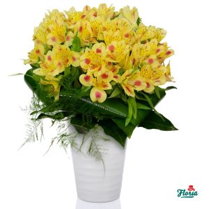 flori-buchet-de-9-alstroemeria-galbene-28828.jpeg