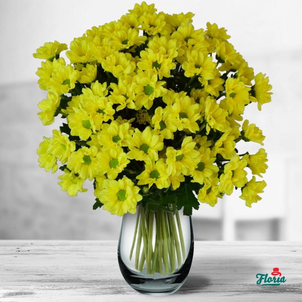 flori-buchet-de-9-crizanteme-galbene-32627.jpeg
