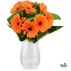 flori-buchet-de-9-gerbera-portocalii-30591.jpeg