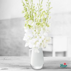 flori-buchet-de-9-orhidee-dendrobium-albe-32965.jpeg