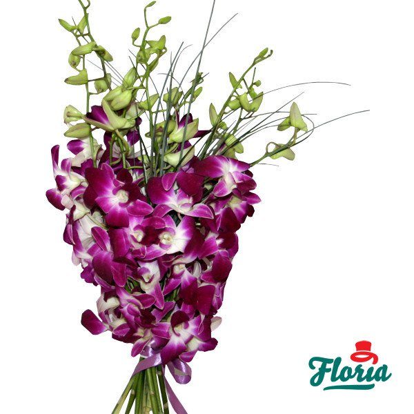 flori-buchet-de-9-orhidee-dendrobium-mov-353.jpeg