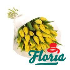 flori-buchet-de-95-lalele-galbene-456.jpeg