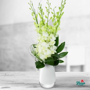 flori-buchet-din-5-orhidee-dendrobium-albe-33629.jpeg