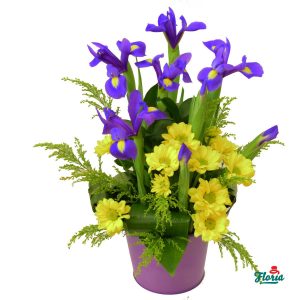 flori-mov-si-galben-28798.jpeg