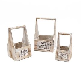 set-ladite-pentru-flori-lf0018337915.jpg