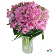 flori-buchet-de-15-alstroemeria-roz-2371.jpeg