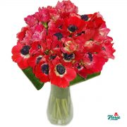 flori-buchet-de-anemone-rosii-2540.jpeg